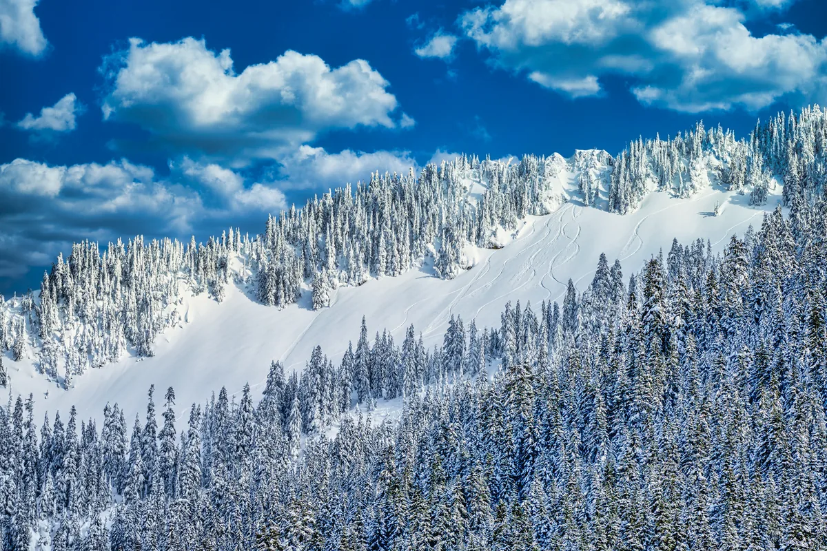 Winter in Chelan County, Washington, Stevens Pass