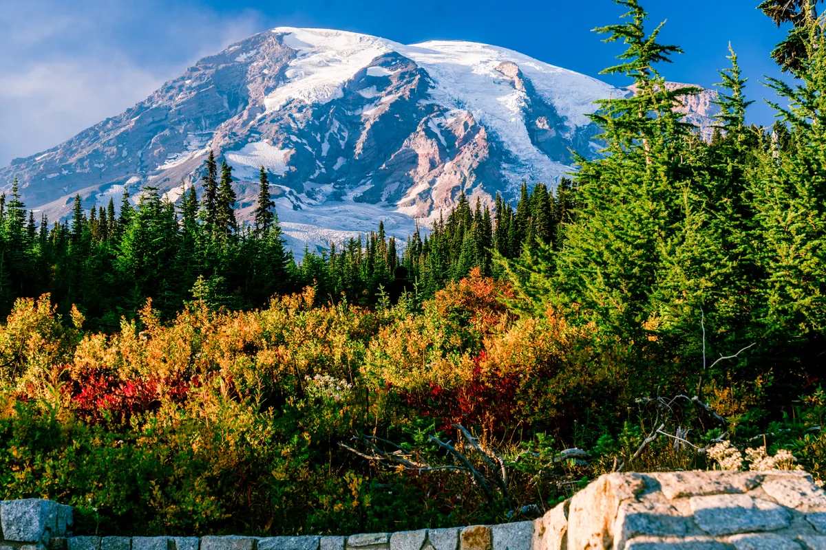 Mount Rainier from Paradise, Washington