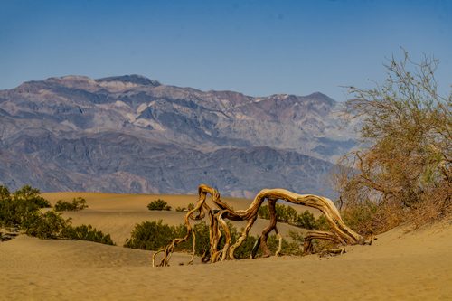 Mesquite Flat Sand Dunes, Death Valley, California