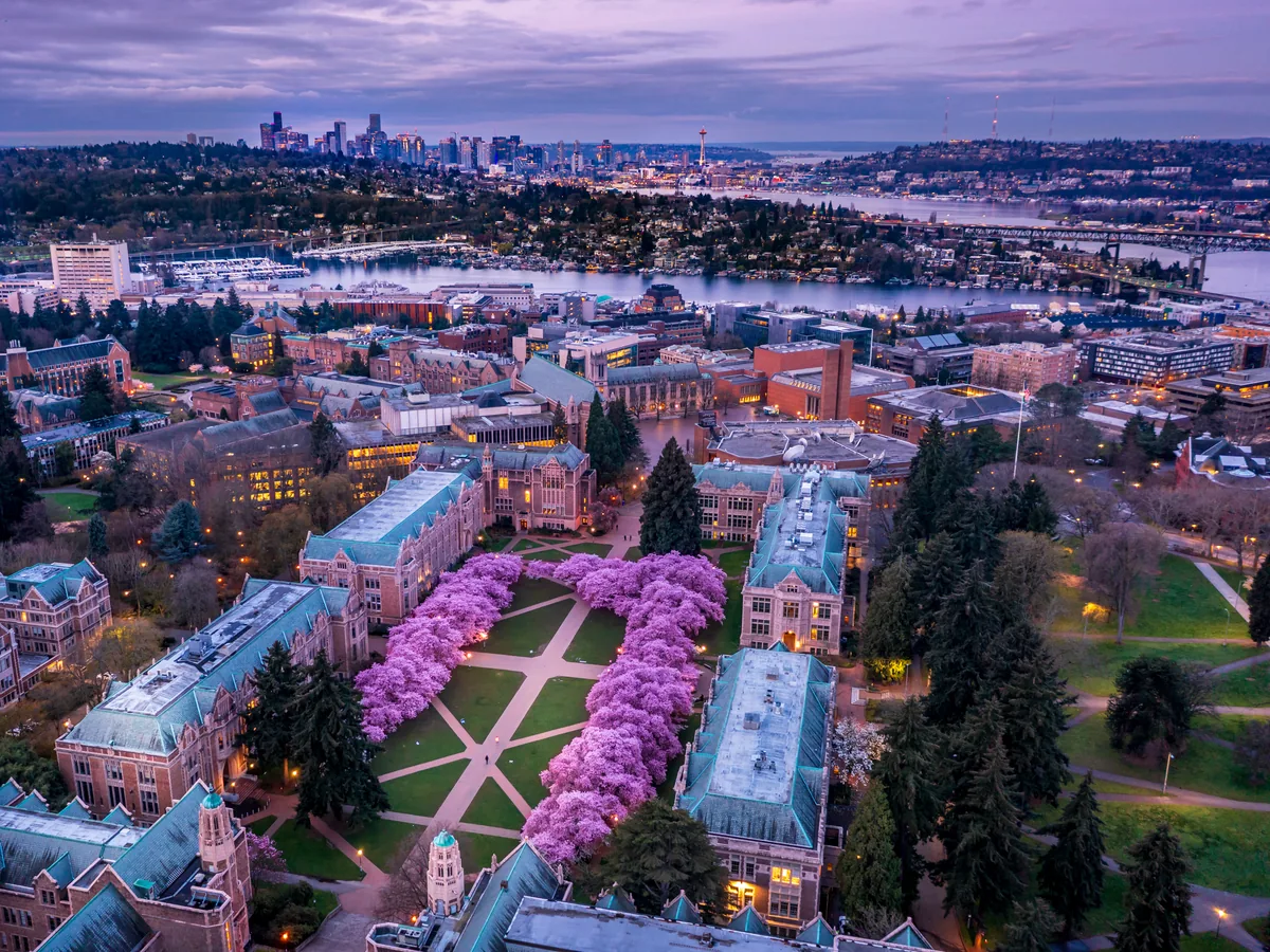 University of Washington Quad in bloom, Seattle