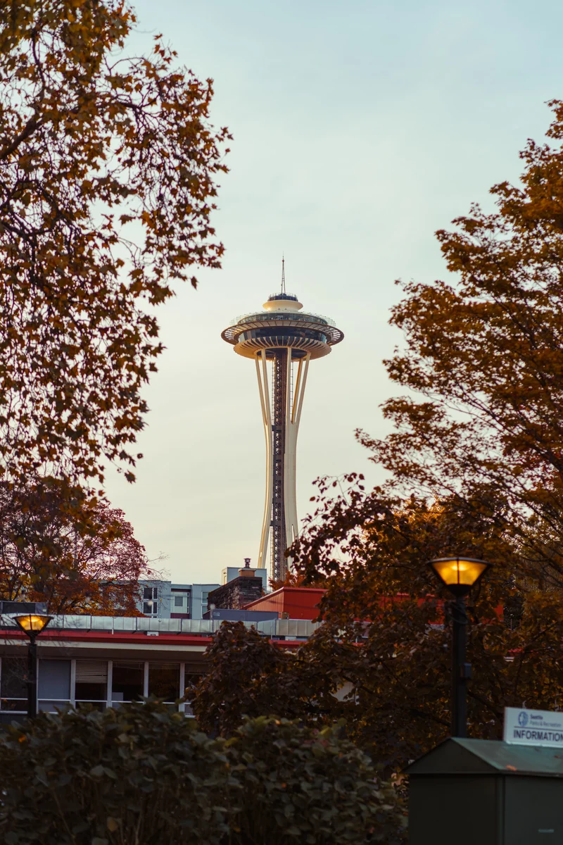 Space Needle through autumn trees, Seattle, Washington