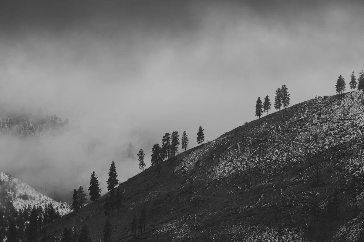 Winter hillside in black and white, Manson, Washington