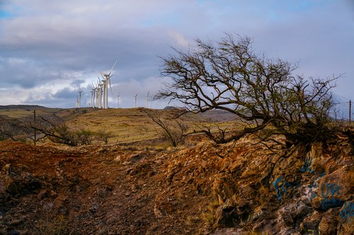 Wind turbines above the Maui coast, Hawaii