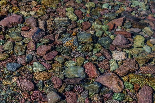 Coloured stones beneath clear water, Glacier National Park, Montana