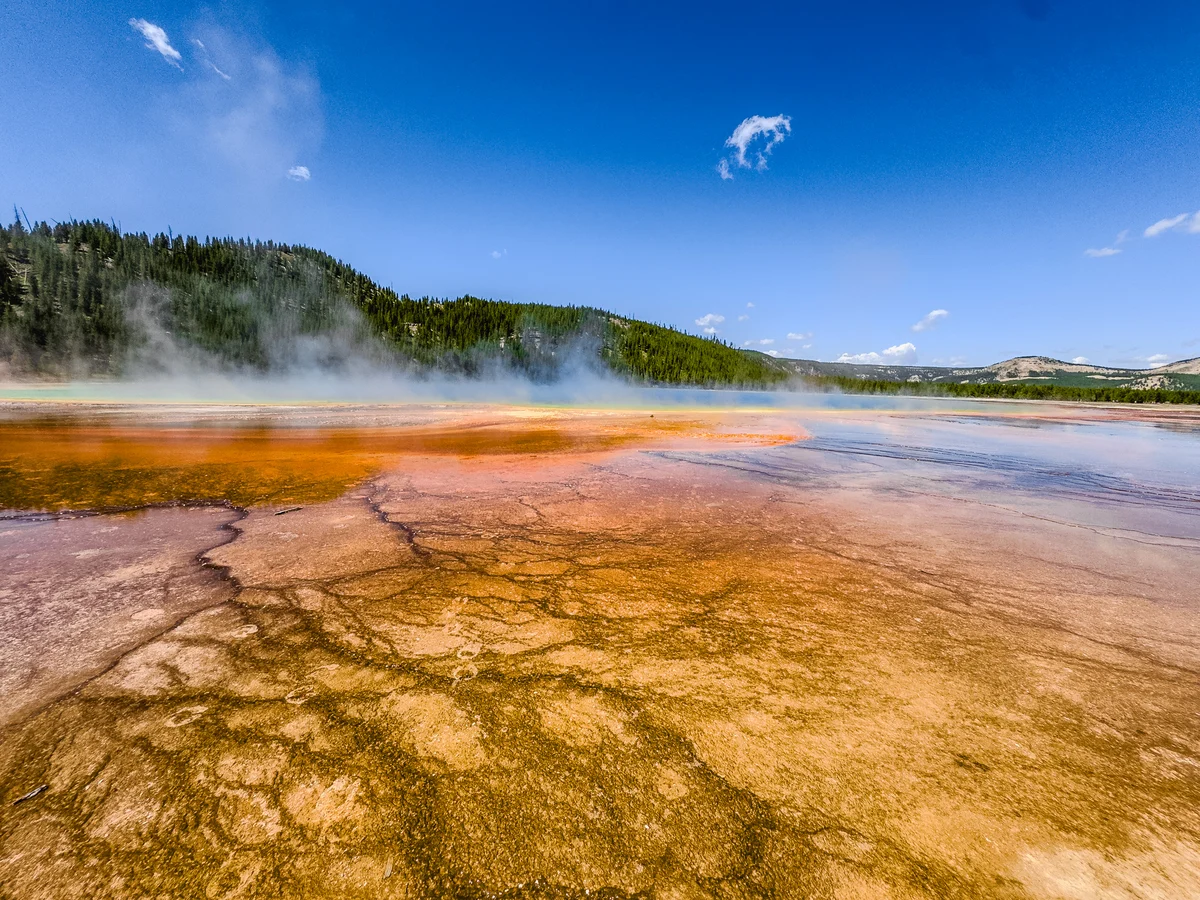 Branching thermal runoff, Yellowstone National Park, Wyoming