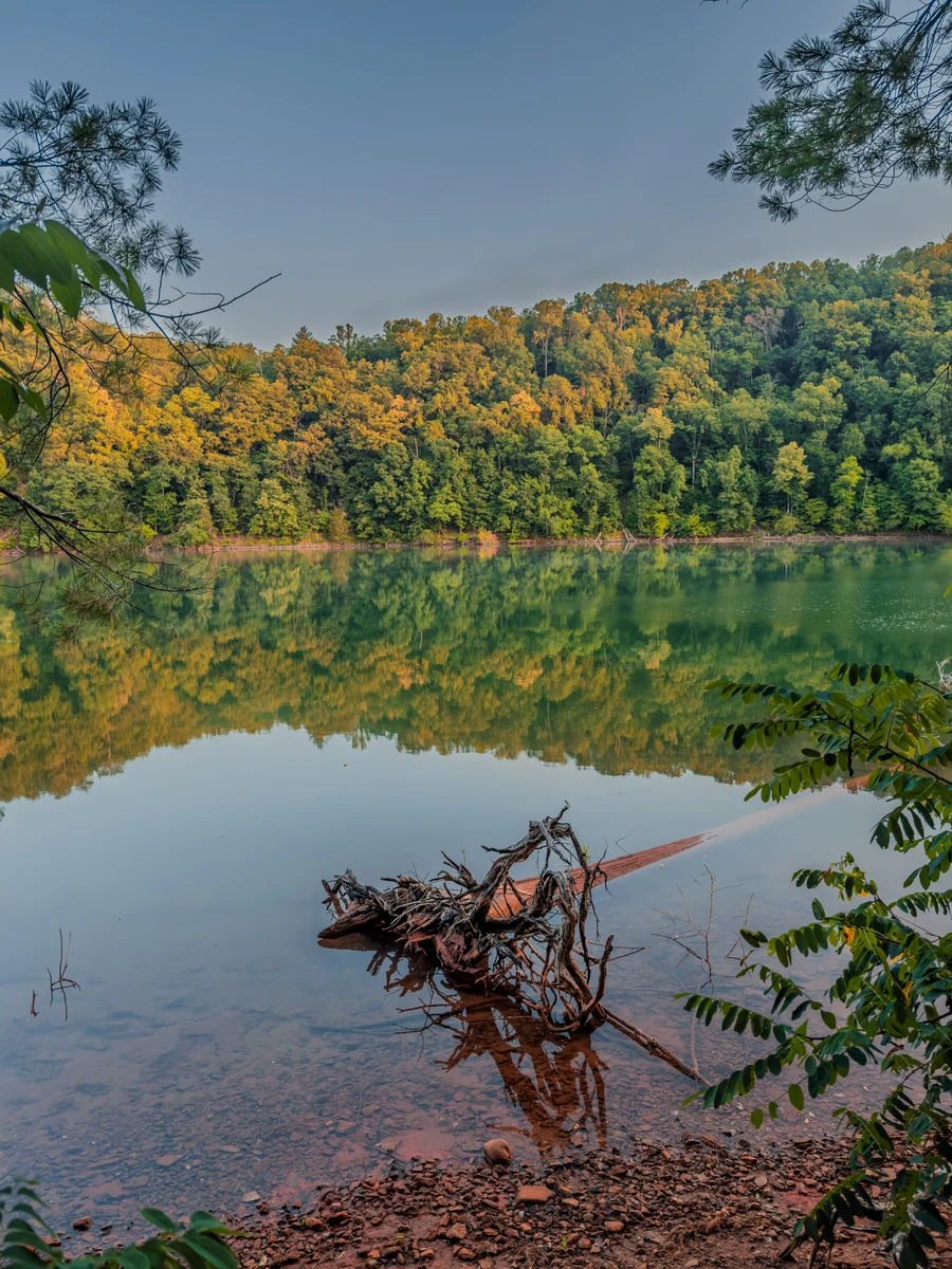 Still water and wooded shores, Ferrum, Virginia