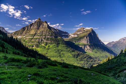 Green valley in Glacier, Montana