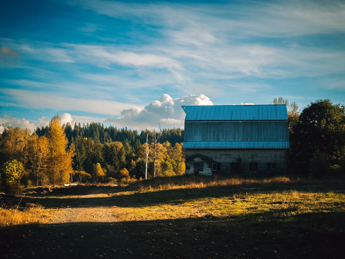 Barn among autumn trees, Auburn, Washington
