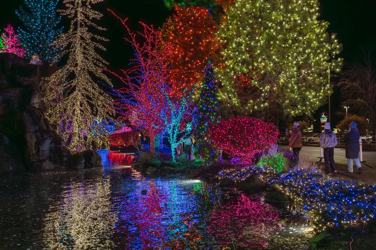 Holiday lights in Tulalip, Washington