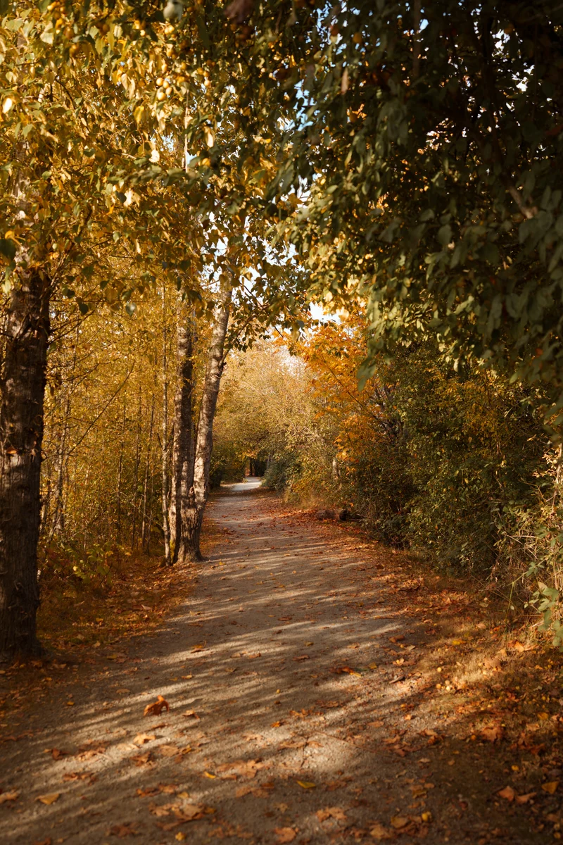 Autumn path at Elgin Heritage Park, Surrey, British Columbia