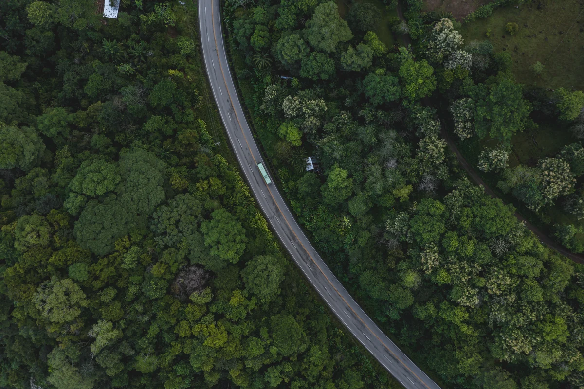 A winding road through tropical forest, Uvita, Osa, Puntarenas