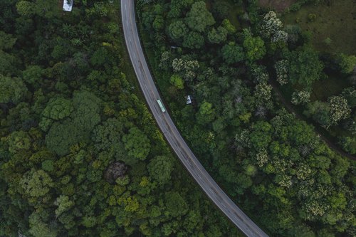 A winding road through tropical forest, Uvita, Osa, Puntarenas