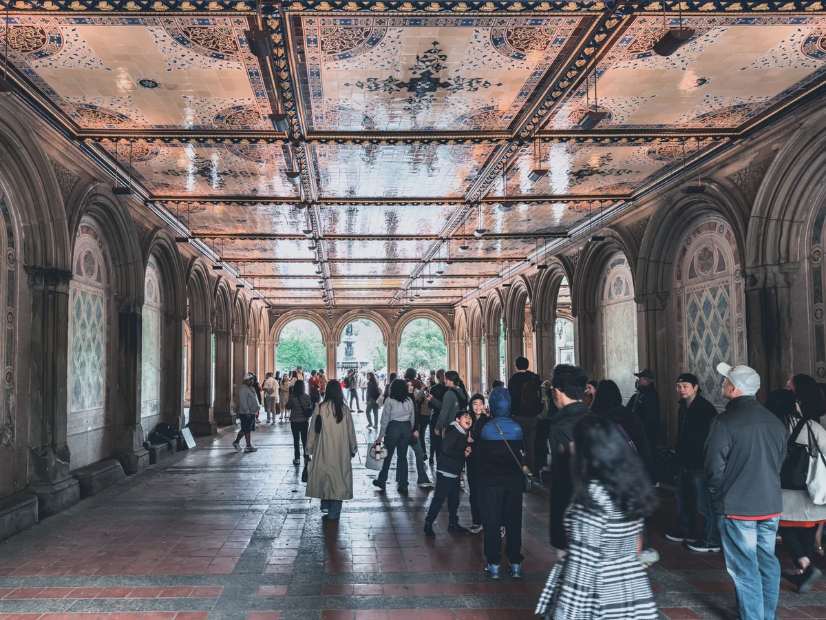 Light through the park arcade, New York City, New York