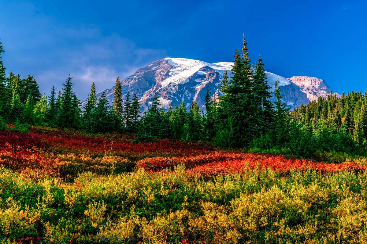 Autumn colors beneath the mountain, Washington