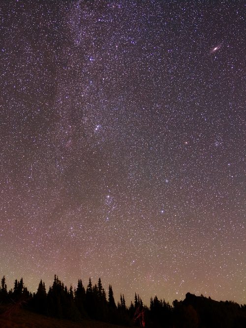 Meteor above the forest, Mount Rainier National Park, Washington